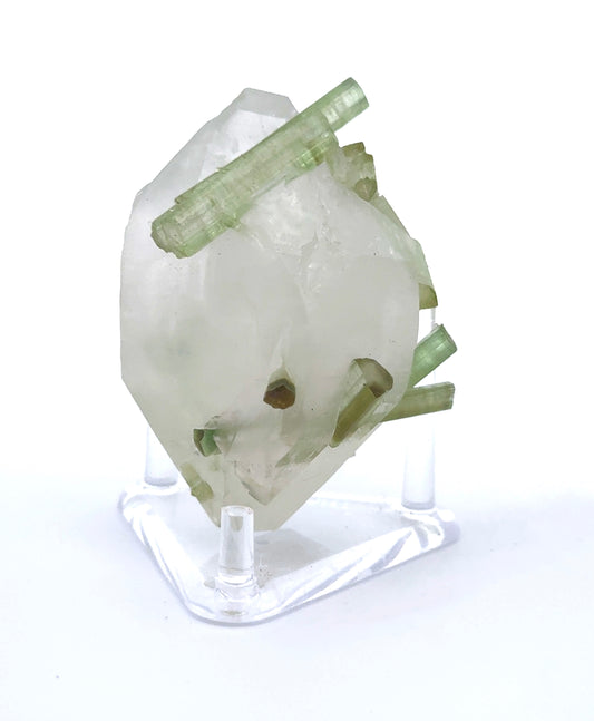 GREEN TOURMALINE ON QUARTZ (201942)