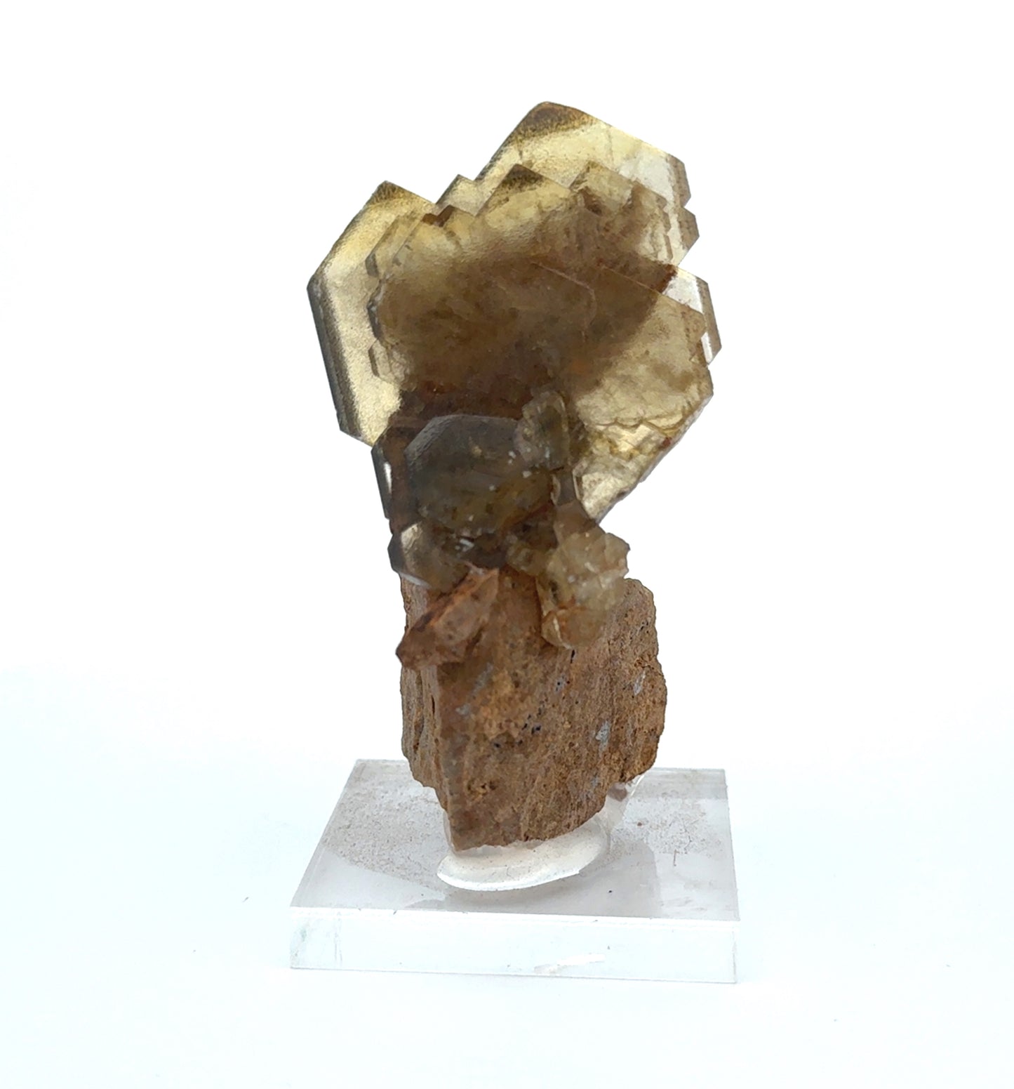 BARITE ON MATRIX (304925)